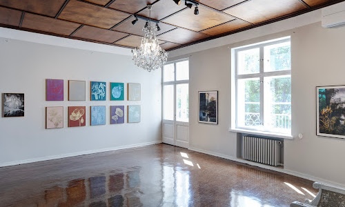 jorma puranen laukon kartano näyttely monet giverny lampi joka muisti kaiken tampere pirkanmaa lempäälä näyttelyt kesämenot valokuva