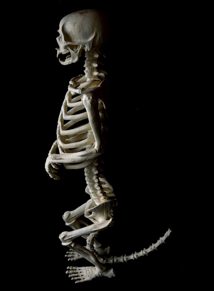 ilkka virtanen luutarha kuvanveisto taidenäyttely kesänäyttely laukonkartano menot kesä 2026 tampere pirkanmaa lempäälä vesilahti nokia