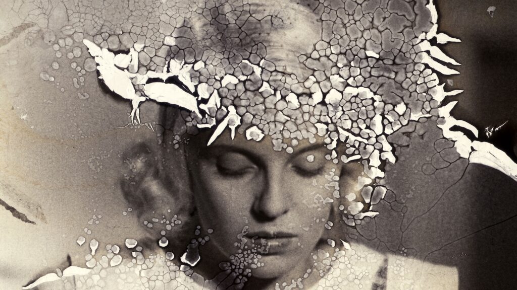 polte flame sami van ingen press lyhytelokuva laukon kartano kesänäyttely taidekesä 2026 vesilahti lempäälä tampere pirkanmaa kesämenot